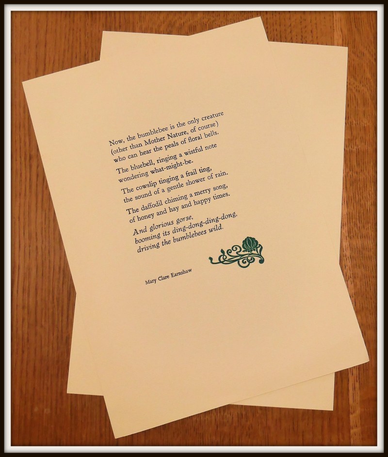 a spring extract framed