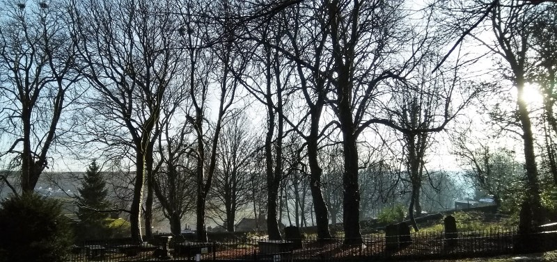 e wet churchycard wiht trees